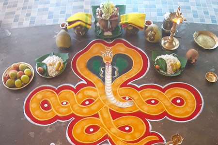 Ashlesha Bali